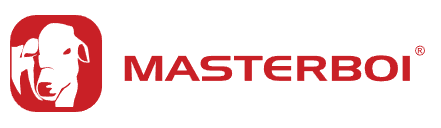 Logo Masterboi